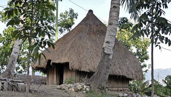 Keunikan dan Keindahan tersendiri yang bisa dilihat Rumah Tradsional di NTT