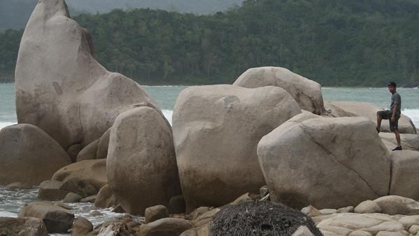 Kisah Rusa Jantan yang Hamil di Pulau Terluar Indonesia