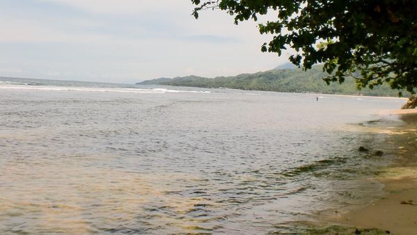 Kota Naga yang Tersembunyi di Aceh Selatan: Tapaktuan
