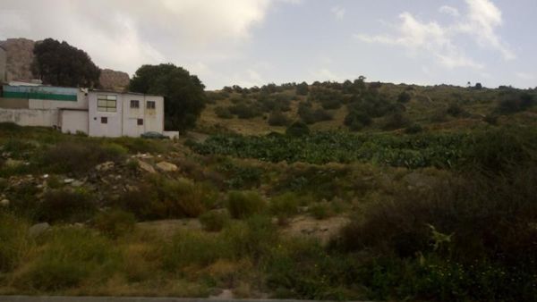 Kota yang Terkenal Sejuk di Arab Saudi, Tahu?