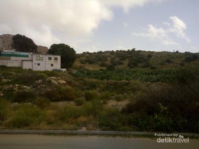 Kota yang Terkenal Sejuk di Arab Saudi, Tahu?