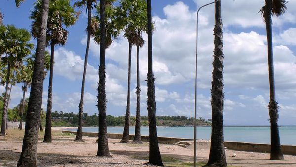 Kupang, Satu Lagi Destinasi Eksotis di Indonesia