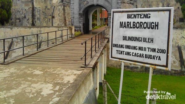 Kura-kura Raksasa di Kota Bengkulu