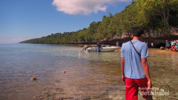 Laguna Cantik di Pulau Kakaban