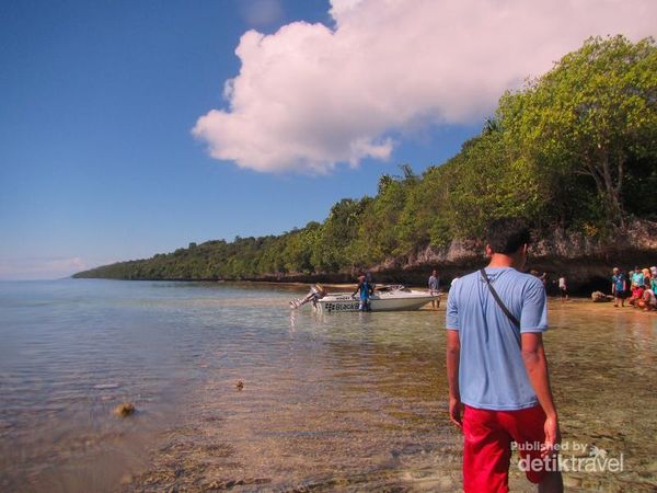Laguna Cantik di Pulau Kakaban