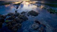 Landscape Bali