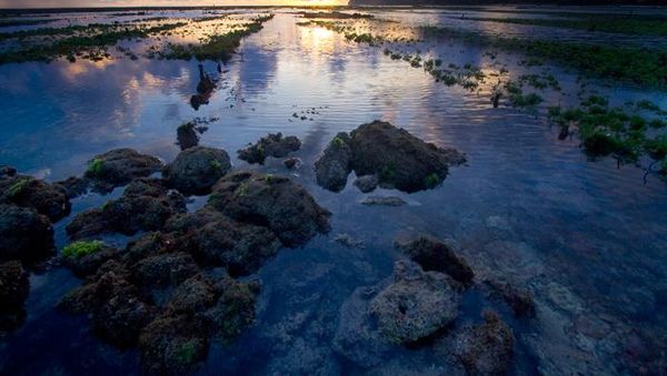 Landscape Bali