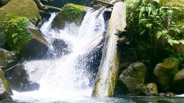 Lau Berte, Surga Tersembunyi dari Sumatera Utara