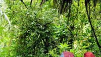 Libur Akhir Pekan, Asyiknya Hiking ke Lembah Suryakencana