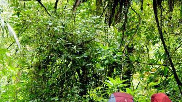 Libur Akhir Pekan, Asyiknya Hiking ke Lembah Suryakencana