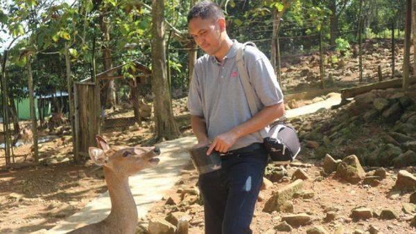 Libur Akhir Pekan: Ayo Main Bareng Rusa di Kotabaru, Kalsel