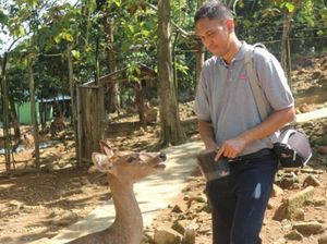 Libur Akhir Pekan: Ayo Main Bareng Rusa di Kotabaru, Kalsel