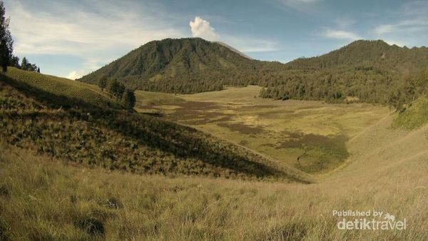 Libur Lebaran Sambil Nikmati Keindahan Oro-oro Ombo di Semeru