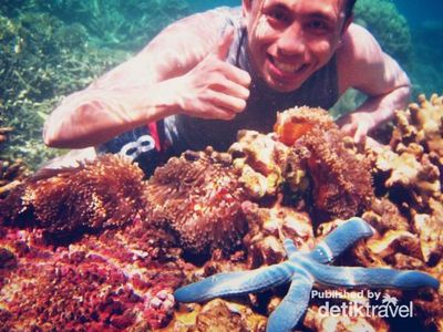 Libur Panjang di Karimunjawa? Jangan Lupa Snorkeling