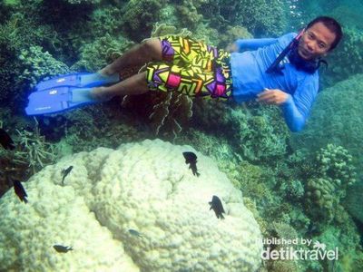 Liburan ke Karimunjawa dan Kawah Ijen