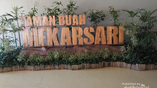 Liburan ke Taman Buah Mekarsari, Belajar Berkebun?