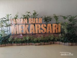 Liburan ke Taman Buah Mekarsari, Belajar Berkebun?