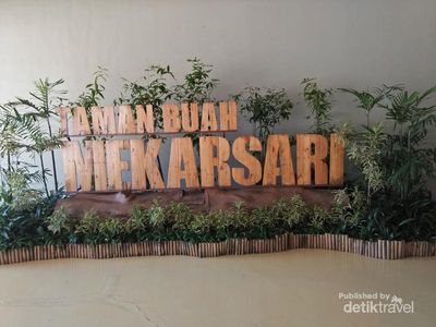 Liburan ke Taman Buah Mekarsari, Belajar Berkebun?