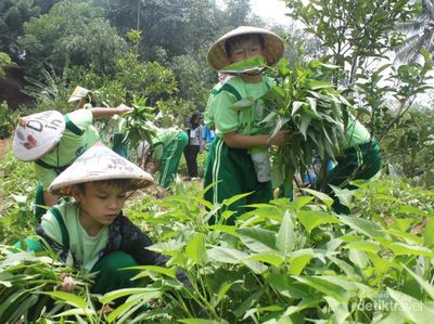 Liburan Sambil Belajar di Cibalung Happy Land, Bogor