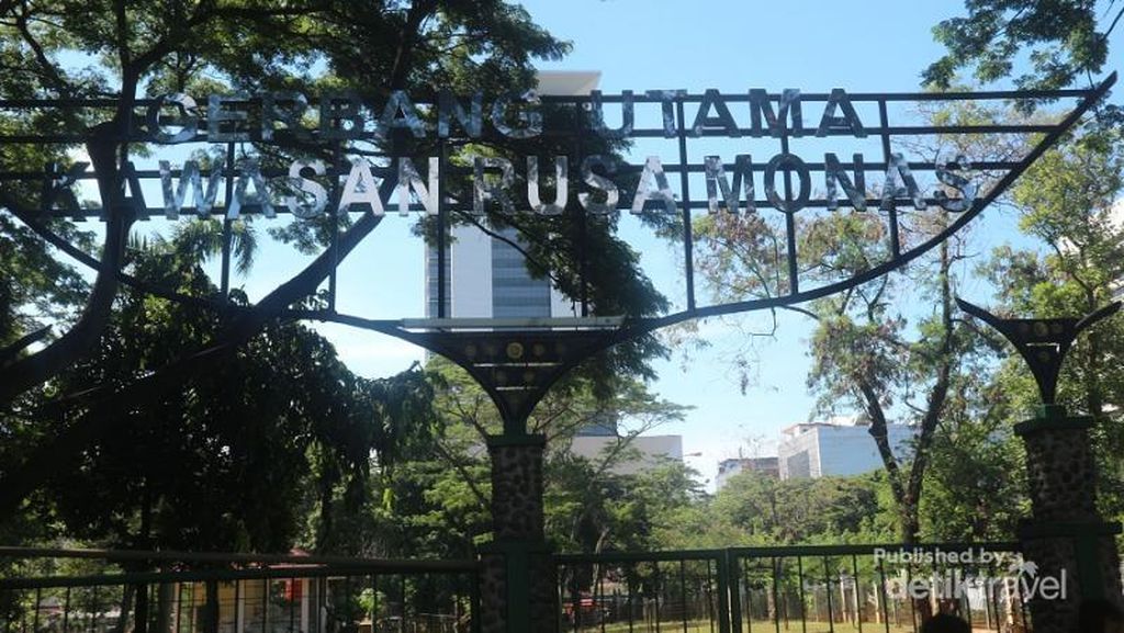 Lihat-lihat Rusa Tutul di Monas, Bisa Diadopsi Juga! Lihat-lihat Rusa Tutul di Monas, Bisa Diadopsi Juga!