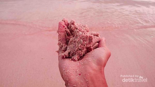 Lindungilah Pantai Pink dengan Cukup Potret dan Melihat
