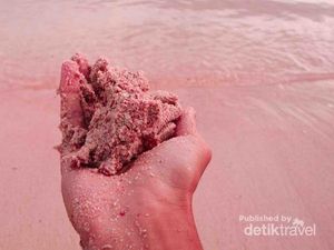 Lindungilah Pantai Pink dengan Cukup Potret dan Melihat