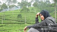 Long Weekend Melepas Penat di Kebun Teh Pagilaran