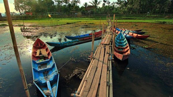 Luar Biasa! Begini Indahnya Ungaran dan Rawa Pening