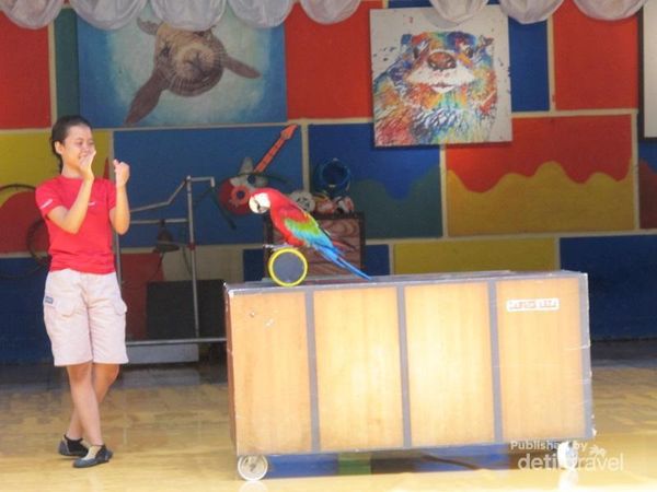 Lucunya Pentas Satwa di Ancol