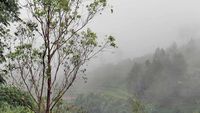 Malino, Puncak Pass Ala Sulsel