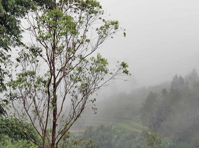 Malino, Puncak Pass Ala Sulsel