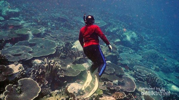 Maluku Utara Memang Bikin Lupa Daratan