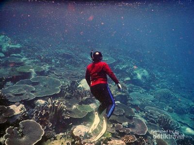 Maluku Utara Memang Bikin Lupa Daratan