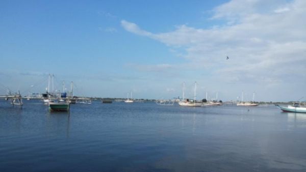 Mandar, Satu Lagi yang Keren dari Lombok