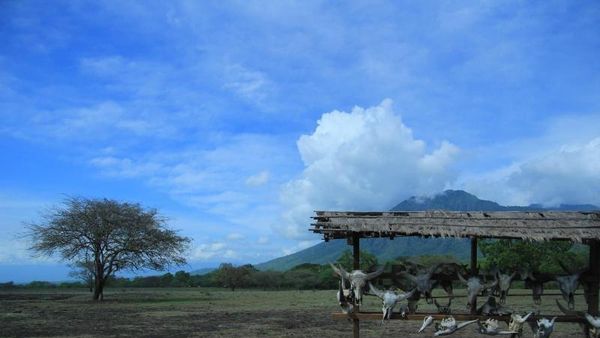 Mari Bertualang ke Africa Van Java
