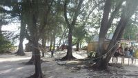 Masih Ada Harapan di Pulau Harapan