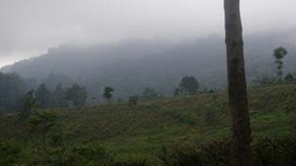 Meeting Sambil Outbound di Gunung Ungaran