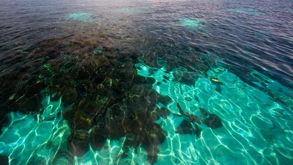 Melepas Pandang di Nusa Penida