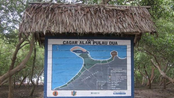 Melihat Aksi Burung Liar di Cagar Alam Pulau Dua, Serang