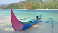 Melihat Kawanan Lumba-lumba Hidung Botol di Teluk Kiluan