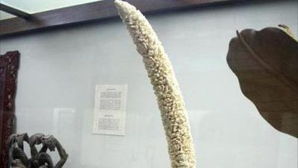 Melihat Koleksi Barang Langka di Museum Bali