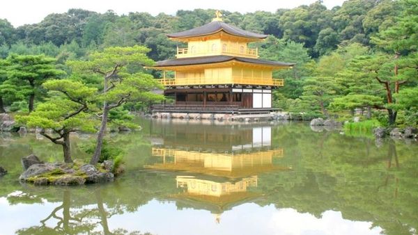 Melihat Pohon Berdaun Pink di Jepang