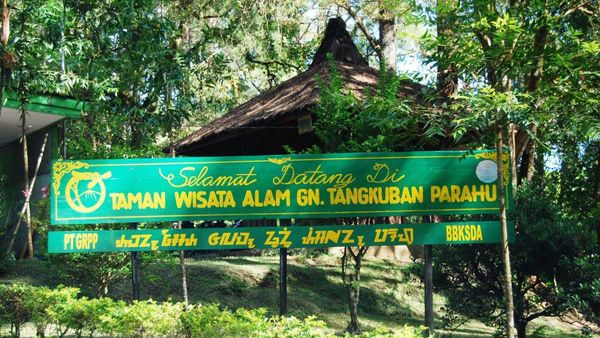 Melihat Tangkuban Perahu Lebih Dekat dari Kawah Domas