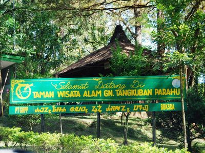 Melihat Tangkuban Perahu Lebih Dekat dari Kawah Domas