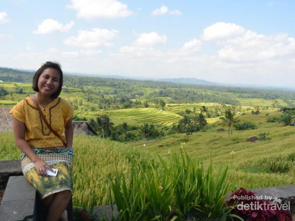 Melihat Teras Sawah Warisan Dunia di Jatiluwih, Bali