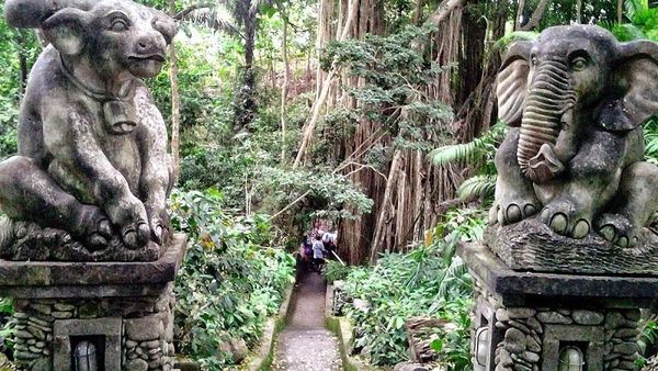 Melihat Tingkah Lucu Monyet di Ubud Monkey Forest