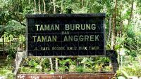 Melongok Teman Bersayap dari Papua