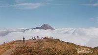 Memukaunya Gunung Merbabu Via Jalur  Selo