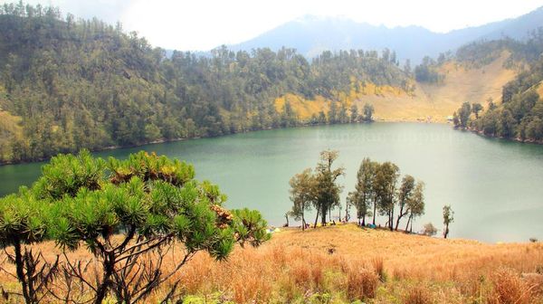 Mencapai Klimaks di Puncak Mahameru