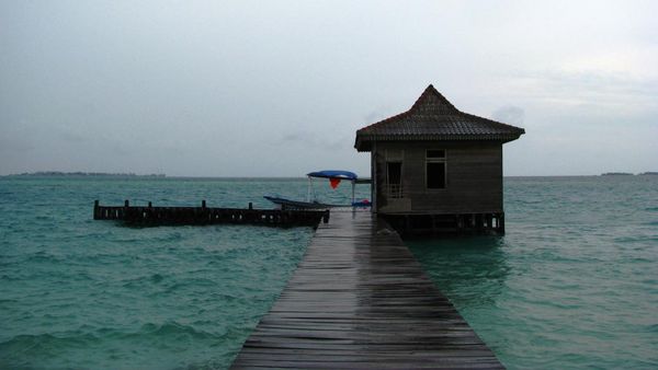 Mencari Nemo, Bertemu Hiu